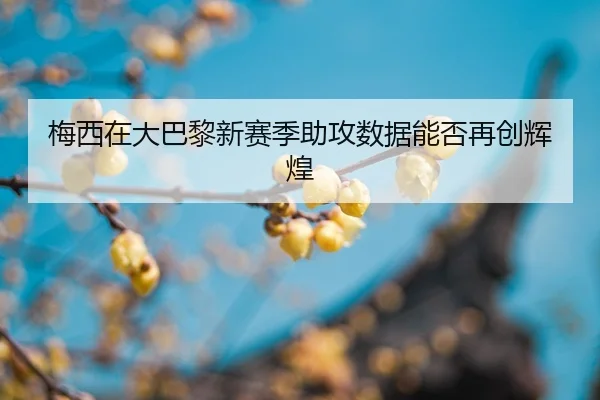 mei-xi-zai-da-ba-li-xin-sai-ji-zhu-gong-shu-ju-neng-fou-zai-chuang-hui-huang-2-825.jpg