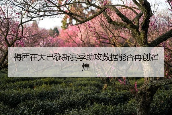 梅西在大巴黎新赛季助攻数据能否再创辉煌